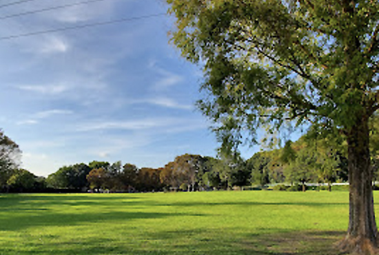 見沼自然公園 約2.0km